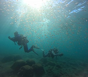 DCIM100GOPROGOPR5248.JPG