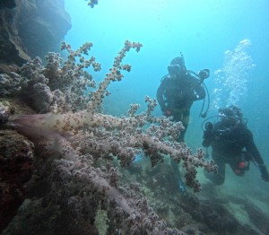 DCIM100GOPROGOPR7743.JPG