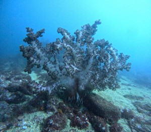DCIM100GOPROGOPR7744.JPG
