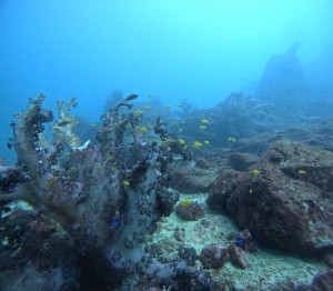 DCIM100GOPROGOPR7747.JPG