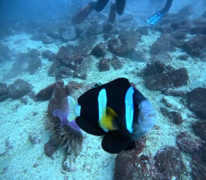 DCIM100GOPROGOPR7750.JPG