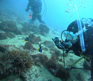 DCIM100GOPROGOPR7753.JPG