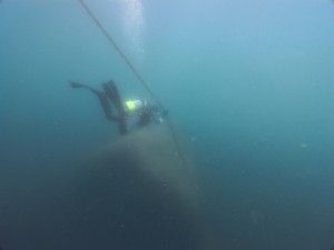 IMG_20260513_100720_008.jpg