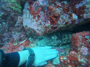 IMG_20260513_103132_028.jpg