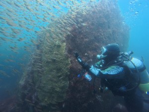 IMG_20260513_123458_088.jpg