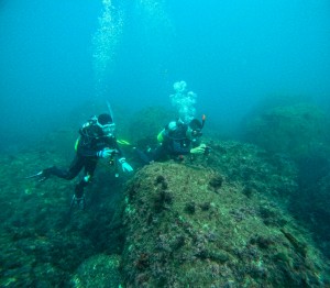 LINE_ALBUM_20251006_251006_29