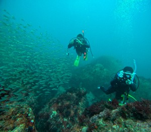 LINE_ALBUM_20251006_251006_49