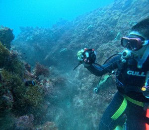 LINE_ALBUM_20251006_251006_73