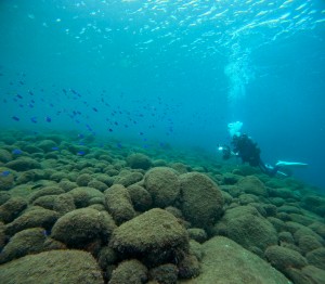 LINE_ALBUM_20251021_251021_12