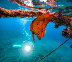 LINE_ALBUM_20251021_251021_16