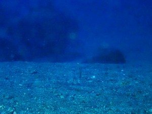 LINE_ALBUM_20251021_251021_26