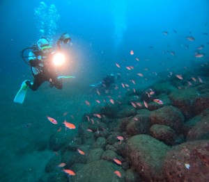 LINE_ALBUM_20251021_251021_7