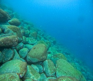 LINE_ALBUM_20251021_251021_8