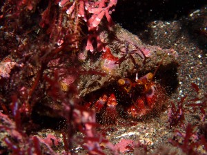 PA110088