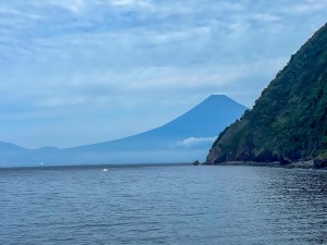 S__345014276_0
