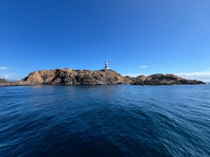 S__345980938_0