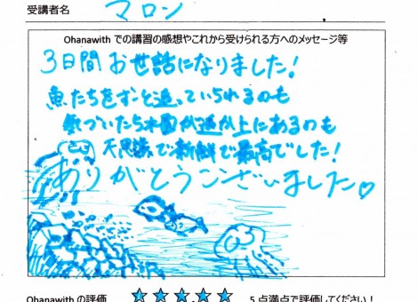 アンケート