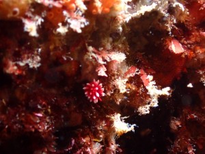 line_oa_chat_251004_182954