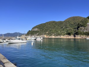 line_oa_chat_251017_195503