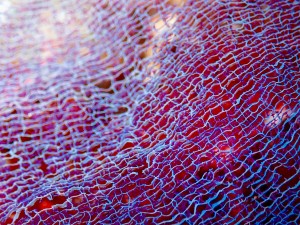 line_oa_chat_251025_184313_group_1