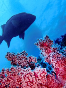 line_oa_chat_251025_184313_group_2