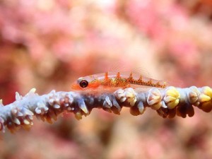 line_oa_chat_251026_191659