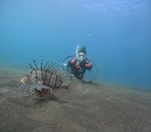 DCIM100GOPROGOPR5739.JPG