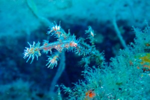 LINE_ALBUM_20251126_251126_12