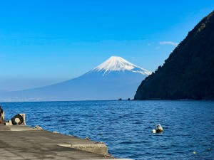 LINE_ALBUM_20251126_251126_2