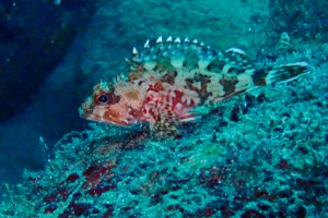 LINE_ALBUM_20251126_251126_28