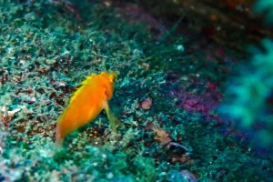 LINE_ALBUM_20251126_251126_54