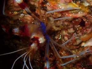 line_oa_chat_251102_190914