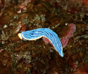 line_oa_chat_251102_190916