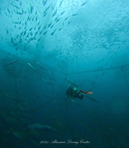 line_oa_chat_251105_114527_group_0