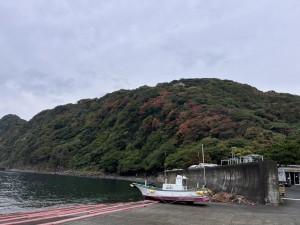 line_oa_chat_251109_175846