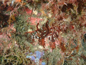 line_oa_chat_251115_173754