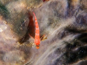 line_oa_chat_251115_190049_group_2