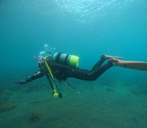 line_oa_chat_251119_171241