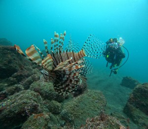 line_oa_chat_251119_171306