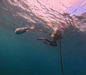 line_oa_chat_251119_171312