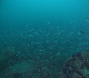 line_oa_chat_251119_171317