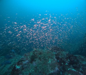 line_oa_chat_251119_171353