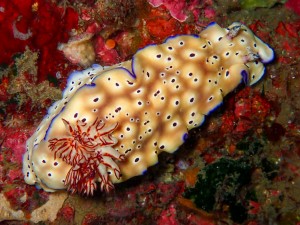 line_oa_chat_251122_184837_group_0