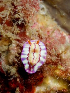 line_oa_chat_251122_184837_group_1