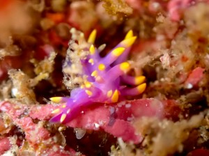 line_oa_chat_251122_184837_group_2