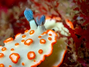 line_oa_chat_251122_184837_group_3