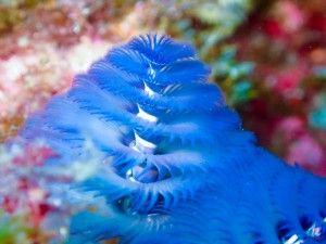 line_oa_chat_251122_184837_group_6