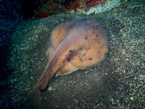 line_oa_chat_251123_193032