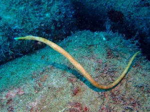 line_oa_chat_251123_193048