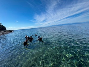 line_oa_chat_251123_193113